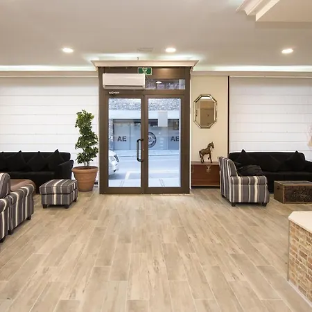Hotel Andino *
