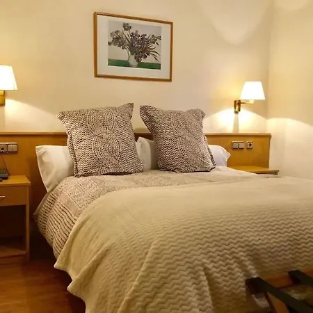 Hotel Andino *